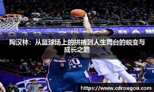 陶汉林：从篮球场上的拼搏到人生舞台的蜕变与成长之路